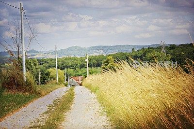 Scenic Landscapes in the South  of France